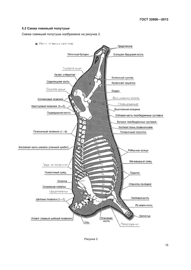 ГОСТ 32606-2013