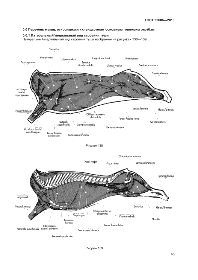 ГОСТ 32606-2013